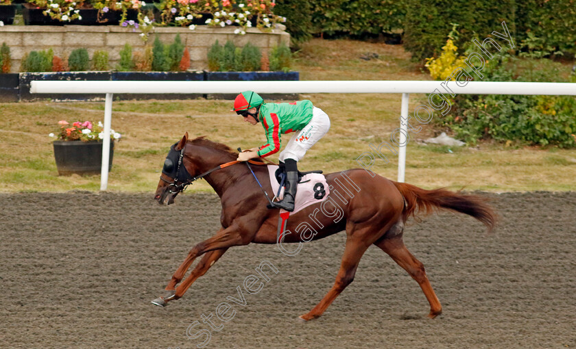 Irrelevant-0001 
 IRRELEVANT (Finley Marsh) wins The Skyline Roofing Centre's Nursery
Kempton 8 Sep 2023 - Pic Steven Cargill / Racingfotos.com