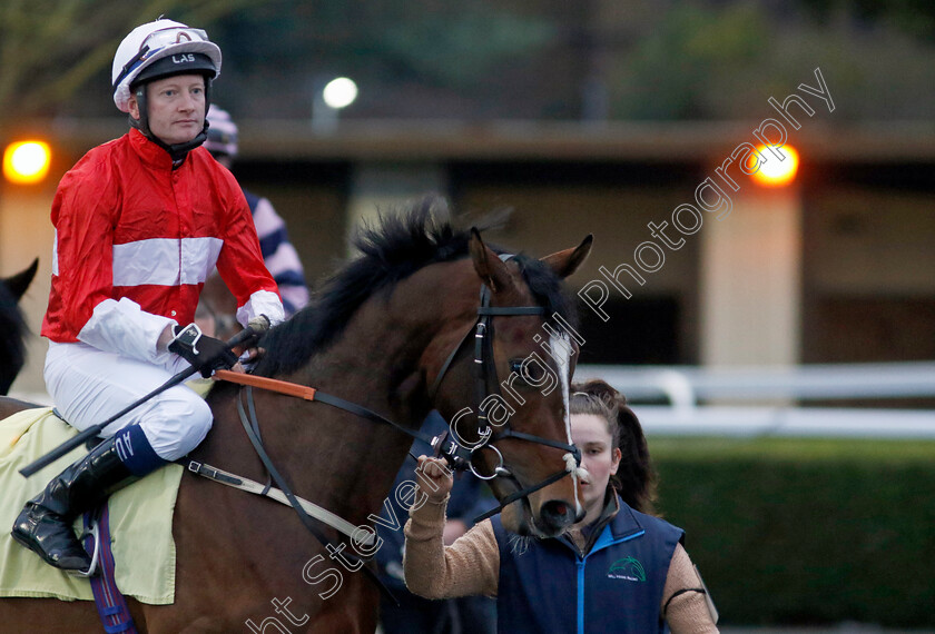 Danehill-Star-0001 
 DANEHILL STAR (William Carson)
Kempton 14 Feb 2024 - Pic Steven Cargill / Racingfotos.com