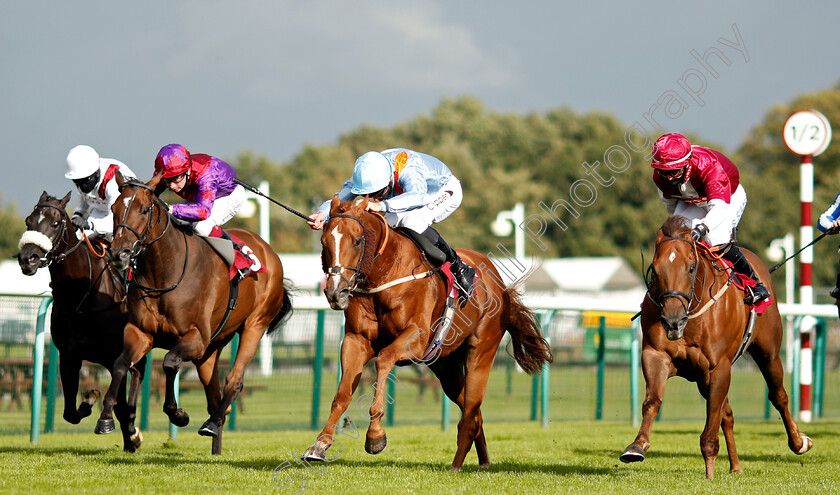 Star-Shield-0003 
 STAR SHIELD (centre, Daniel Tudhope) beats MOSTAWAA (right) in The Betfair Exchange Free Bet Streak Handicap
Haydock 5 Sep 2020 - Pic Steven Cargill / Racingfotos.com