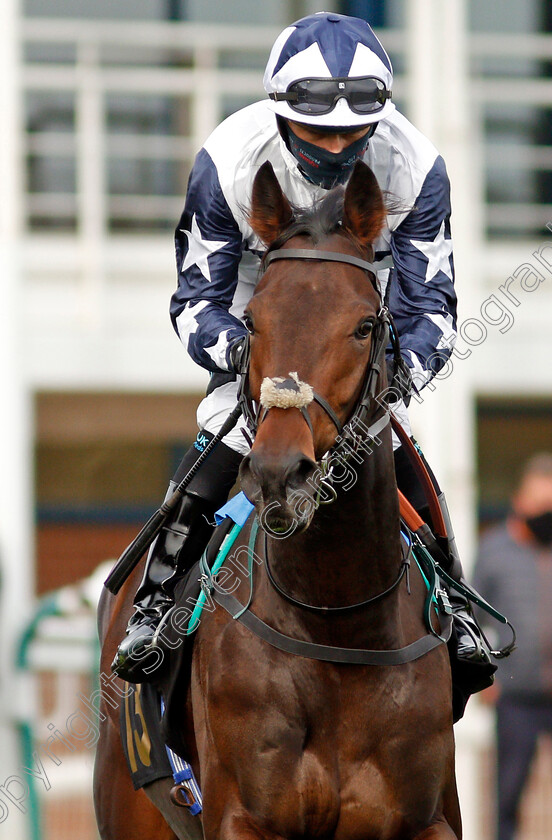 Nibras-Gold-0001 
 NIBRAS GOLD (Sean Levey)
Nottingham 24 Oct 2020 - Pic Steven Cargill / Racingfotos.com