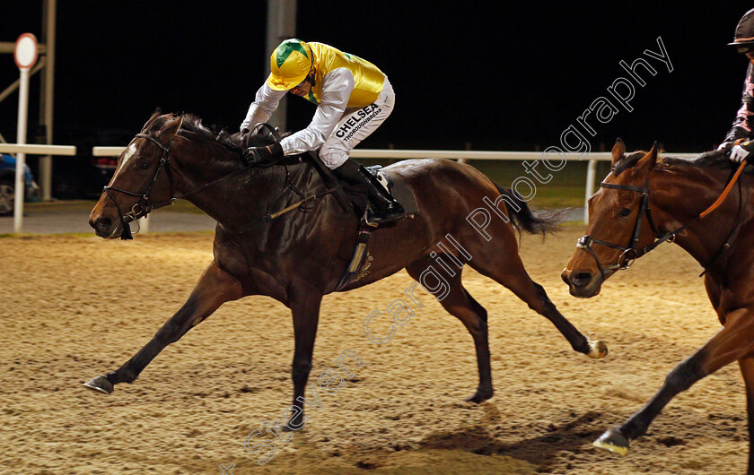 Pinnata-0004 
 PINNATA (Sean Levey) wins The totescoop6 The Millionaire Maker Handicap Chelmsford 16 Nov 2017 - Pic Steven Cargill / Racingfotos.com