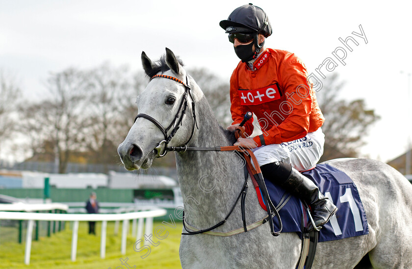 Posh-Girl-0001 
 POSH GIRL (Jack Mitchell)
Yarmouth 20 Oct 2020 - Pic Steven Cargill / Racingfotos.com