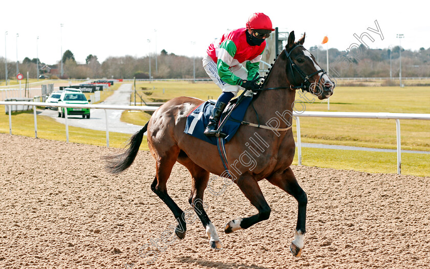 George-Edward-0001 
 GEORGE EDWARD (Andrew Mullen)
Wolverhampton 13 Mar 2021 - Pic Steven Cargill / Racingfotos.com