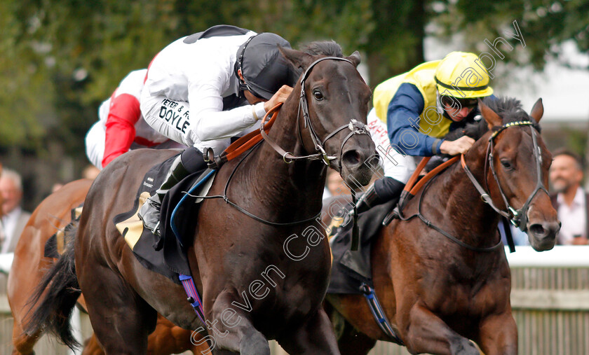 Detail-0006 
 DETAIL (Sean Levey) wins The Black Type Accountancy British EBF Restricted Novice Stakes
Newmarket 24 Jun 2021 - Pic Steven Cargill / Racingfotos.com