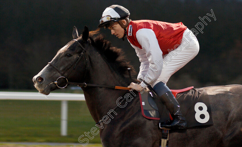 Newbolt-0001 
 NEWBOLT (Rob Hornby) winner of The totepool Cashback Club At totesport.com Novice Stakes Div1
Chelmsford 25 Nov 2019 - Pic Steven Cargill / Racingfotos.com