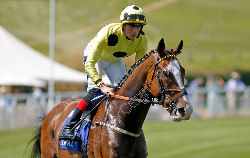 Bystander-0002 
 BYSTANDER (Clifford Lee)
Goodwood 30 Jul 2024 - Pic Steven Cargill / Racingfotos.com