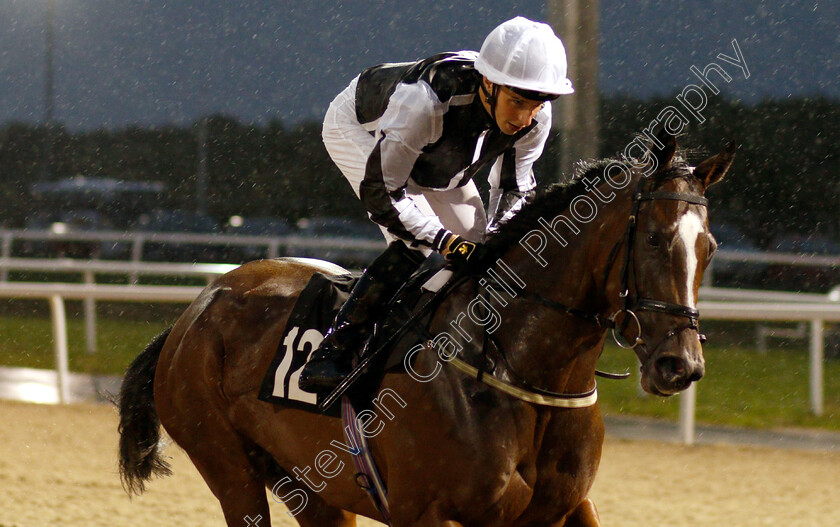 Saint-Diana-0001 
 SAINT DIANA (William Buick)
Chelmsford 6 Oct 2018 - Pic Steven Cargill / Racingfotos.com