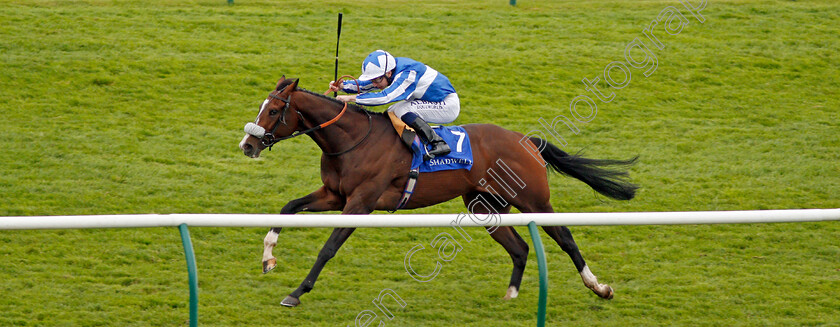 Beat-The-Bank-0006 
 BEAT THE BANK (Oisin Murphy) wins The Shadwell Joel Stakes Newmarket 29 Sep 2017 - Pic Steven Cargill / Racingfotos.com