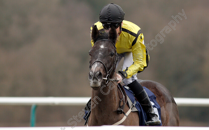 Chynna-0001 
 CHYNNA (Callum Shepherd)
Lingfield 2 Mar 2019 - Pic Steven Cargill / Racingfotos.com