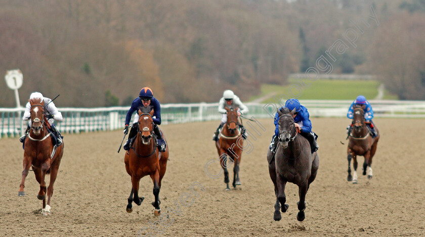 Broderie-0003 
 BRODERIE (right, Tom Marquand) beats CRAVING (centre) and SOCIOLOGIST (left) in The 32Red Casino Novice Stakes Lingfield 2 Feb 2018 - Pic Steven Cargill / Racingfotos.com