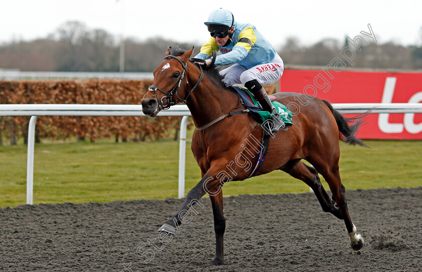 Otyrar-0002 
 OTYRAR (Robet Havlin) wins The Watch Racing Free Online At Ladbrokes EBF Novice Stakes
Kempton 27 Mar 2021 - Pic Steven Cargill / Racingfotos.com