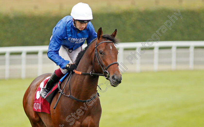 Platinum-Star-0001 
 PLATINUM STAR (Oisin Murphy)
Goodwood 30 Jul 2019 - Pic Steven Cargill / Racingfotos.com