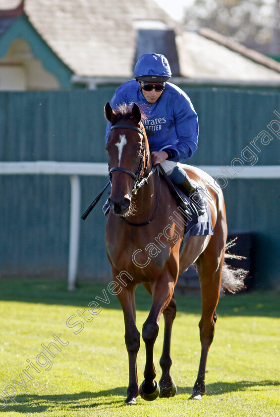 Glittering-Lights-0001 
 GLITTERING LIGHTS (William Buick)
Yarmouth 18 Oct 2022 - Pic Steven Cargill / Racingfotos.com