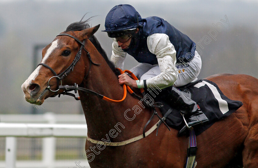 Rohaan-0008 
 ROHAAN (Ryan Moore) wins The Qipco British Champions Series Pavilion Stakes
Ascot 28 Apr 2021 - Pic Steven Cargill / Racingfotos.com