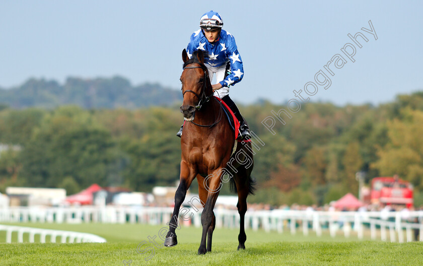 Rowland-Ward-0001 
 ROWLAND WARD (Harry Bentley)
Sandown 9 Aug 2018 - Pic Steven Cargill / Racingfotos.com