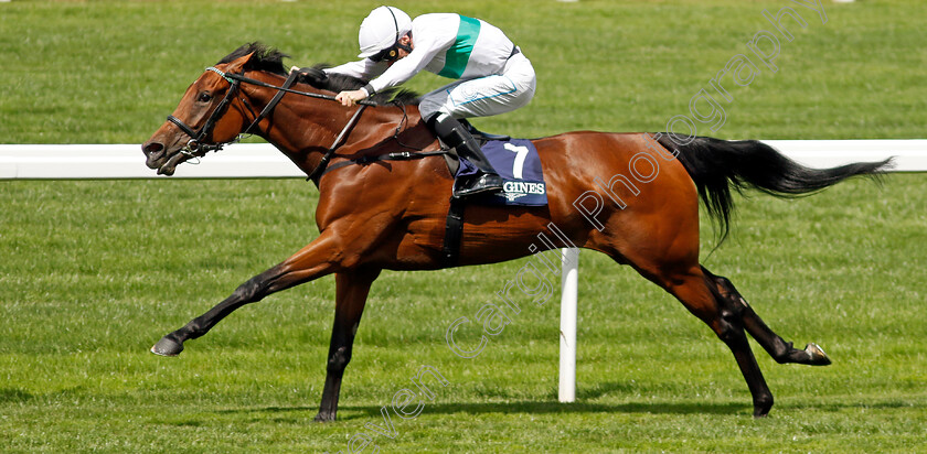 Friendly-Soul-0001 
 FRIENDLY SOUL (Kieran Shoemark) wins The Longines Valiant Stakes
Ascot 27 Jul 2024 - Pic Steven Cargill / Racingfotos.com