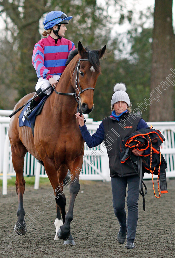 Tynecastle-Park-0003 
 TYNECASTLE PARK (Molly Presland)
Lingfield 1 Dec 2021 - Pic Steven Cargill / Racingfotos.com