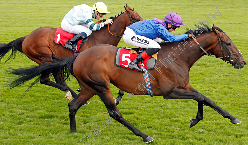 Dubai-Instinct-0007 
 DUBAI INSTINCT (Angus Villiers) wins The Betway Casino Handicap
Sandown 31 Aug 2019 - Pic Steven Cargill / Racingfotos.com