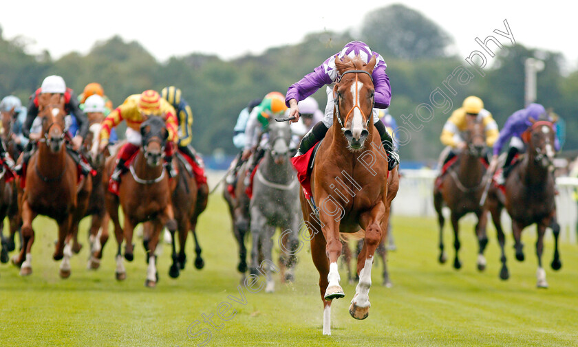 Mums-Tipple-0004 
 MUMS TIPPLE (Ryan Moore) wins The Goffs Uk Premier Yearling Stakes
York 22 Aug 2019 - Pic Steven Cargill / Racingfotos.com