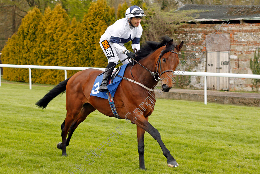 Westbrook-Bertie-0002 
 WESTBROOK BERTIE (Silvestre De Sousa) before winning The Betfred Supports Jack Berry House Handicap Salisbury 29 Apr 2018 - Pic Steven Cargill / Racingfotos.com