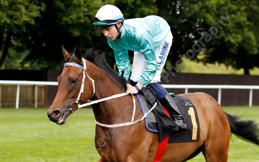 Asian-Daze-0007 
 ASIAN DAZE (Billy Loughnane) winner of The Bedford Lodge Hotel & Spa Fillies Handicap
Newmarket 13 Jul 2024 - Pic Steven Cargill / Racingfotos.com