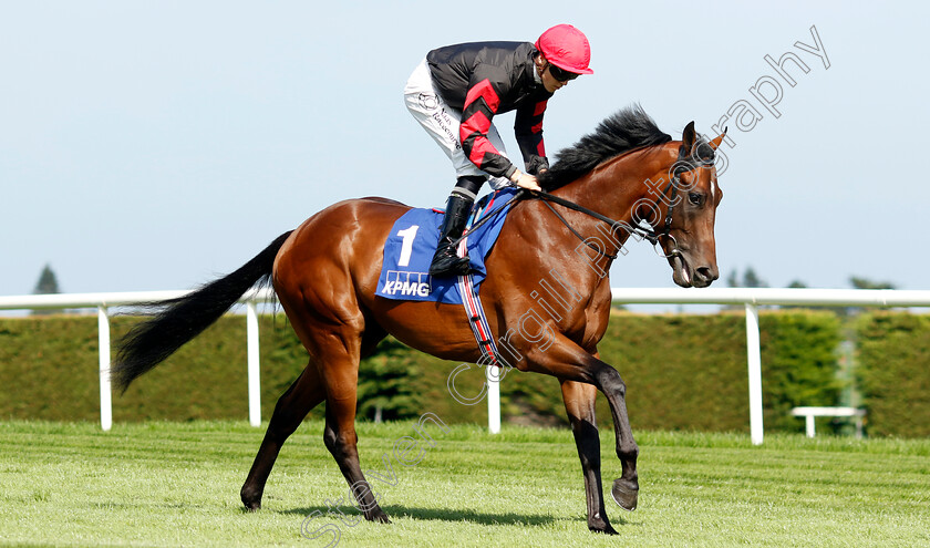 Atlantic-Coast-0001 
 ATLANTIC COAST (Dylan Browne)
Leopardstown 9 Sep 2023 - Pic Steven Cargill / Racingfotos.com