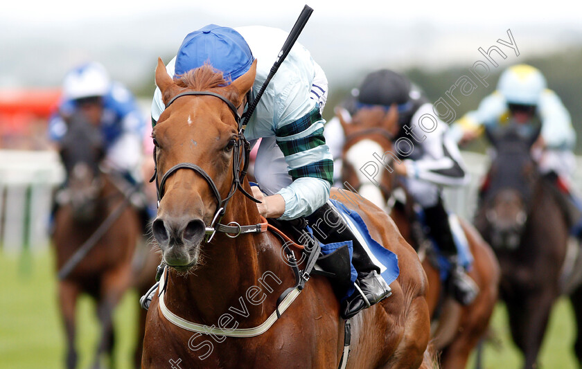 Belated-Breath-0007 
 BELATED BREATH (Oisin Murphy) wins The Bill Garnett Memorial Fillies Handicap
Salisbury 16 Aug 2018 - Pic Steven Cargill / Racingfotos.com