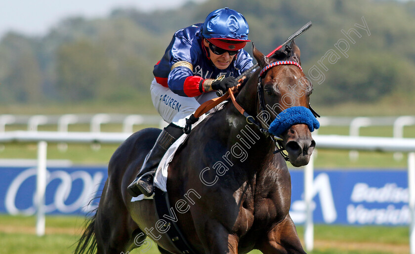 Penalty-0002 
 PENALTY (Thore Hammer-Hansen) wins The 91. Brunner-Oettingen Rennen
Baden Baden 1 Sep 2024 - Pic Steven Cargill / Racingfotos.com