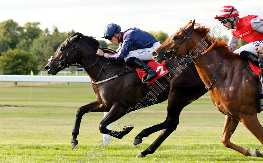 Master-Mcgrath-0005 
 MASTER MCGRATH (Kevin Stott) wins The Slug And Lettuce Christmas Party EBF Maiden Stakes
Sandown 8 Aug 2019 - Pic Steven Cargill / Racingfotos.com