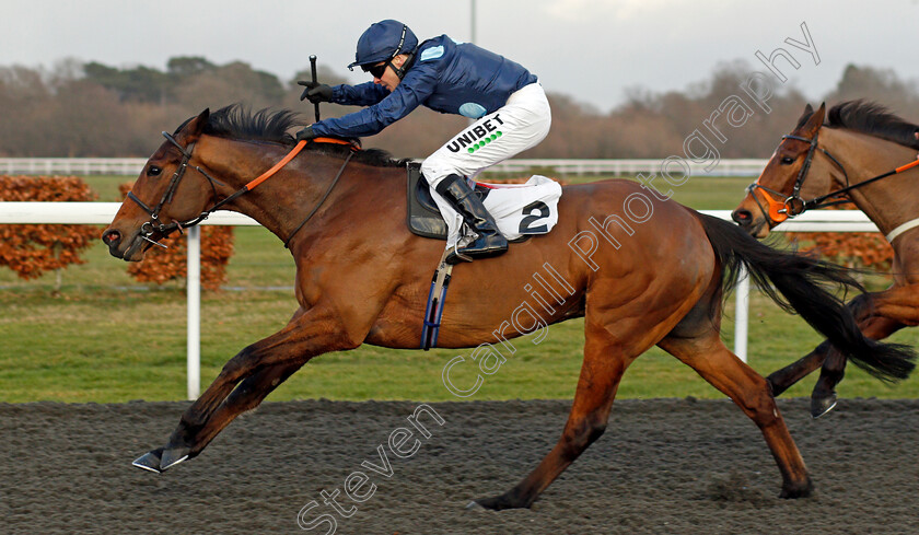 Starczewski-0004 
 STARCZEWSKI (Jamie Spencer) wins The Unibet 3 Uniboosts A Day Handicap
Kempton 16 Feb 2021 - Pic Steven Cargill / Racingfotos.com