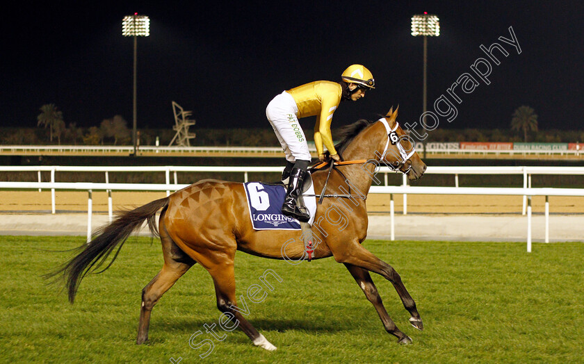 Mnasek 
 MNASEK (Pat Dobbs)
Meydan 4 Feb 2022 - Pic Steven Cargill / Racingfotos.com