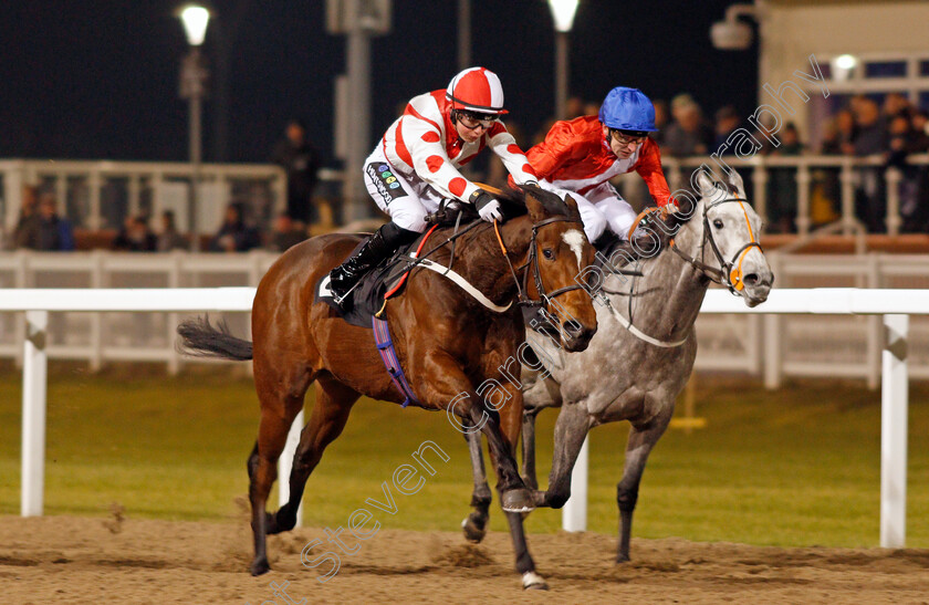 Lady-Willpower-0002 
 LADY WILLPOWER (left, William Cox) beats MOON SONG (right) in The Bet totequadpot At betfred.com Fillies Novice Stakes Div1 Chelmsford 1 Dec 2017 - Pic Steven Cargill / Racingfotos.com