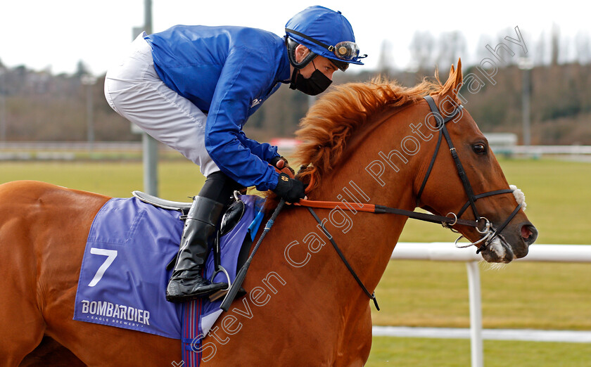 Raaeb-0002 
 RAAEB (Callum Shepherd)
Wolverhampton 13 Mar 2021 - Pic Steven Cargill / Racingfotos.com