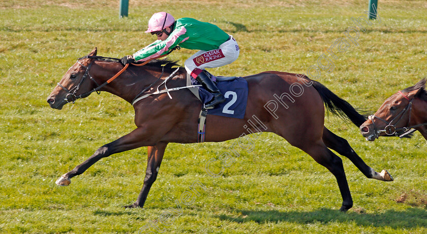 Gobi-Sunset-0006 
 GOBI SUNSET (Oisin Murphy) wins The Ken Lindsay Memorial Nursery
Yarmouth 19 Sep 2019 - Pic Steven Cargill / Racingfotos.com