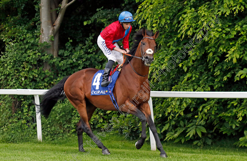 Bay-Bridge-0001 
 BAY BRIDGE (Ryan Moore) winner of The Coral Brigadier Gerard Stakes
Sandown 26 May 2022 - Pic Steven Cargill / Racingfotos.com