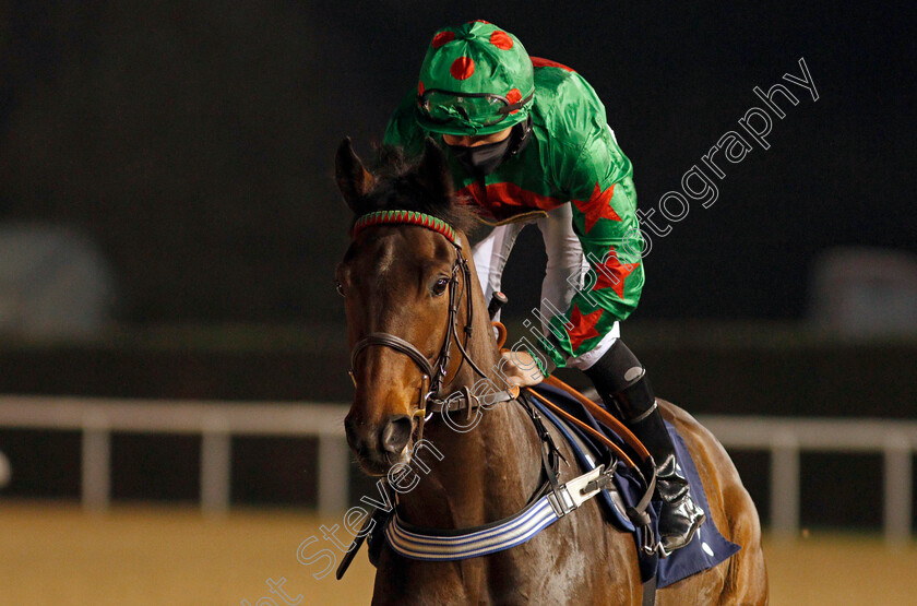 Mustang-Kodi-0002 
 MUSTANG KODI (P J McDonald)
Wolverhampton 24 Nov 2020 - Pic Steven Cargill / Racingfotos.com