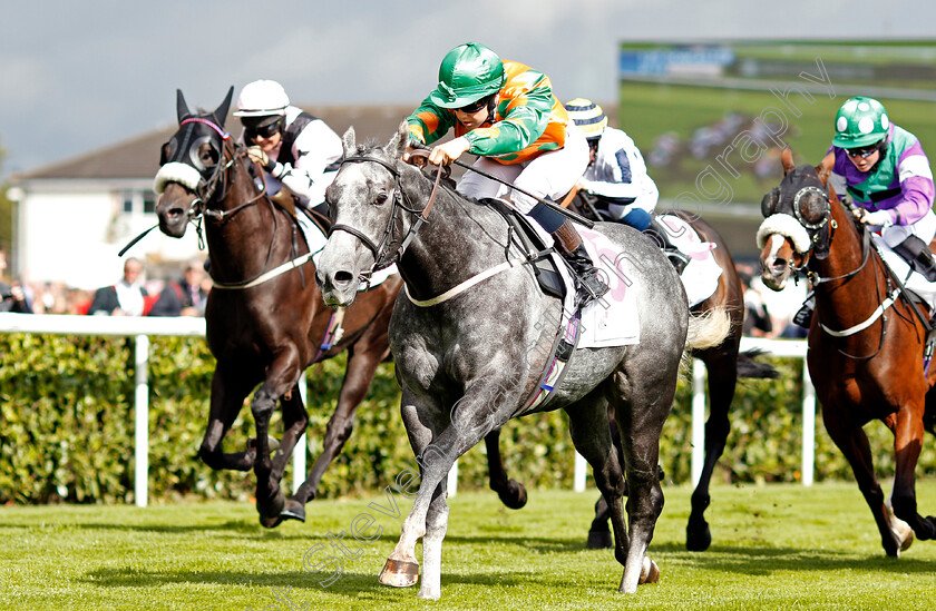 Buccaneers-Vault-0006 
 BUCCANEERS VAULT (Georgia Cox) wins The DFS Silk Series Lady Riders' Handicap Doncaster 14 Sep 2017 - Pic Steven Cargill / Racingfotos.com