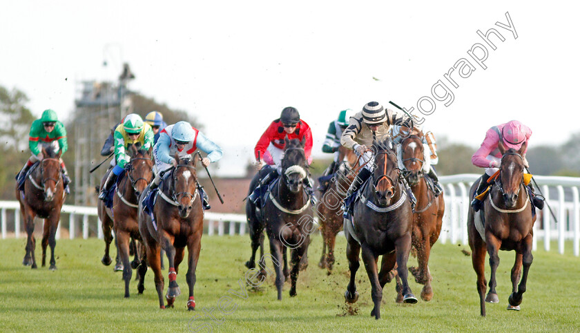 Doc-Sportello-0001 
 DOC SPORTELLO (2nd right, Tom Marquand) beats FIRENZE ROSA (right) in The Download The Star Sports App Now Handicap
Bath 16 Oct 2019 - Pic Steven Cargill / Racingfotos.com