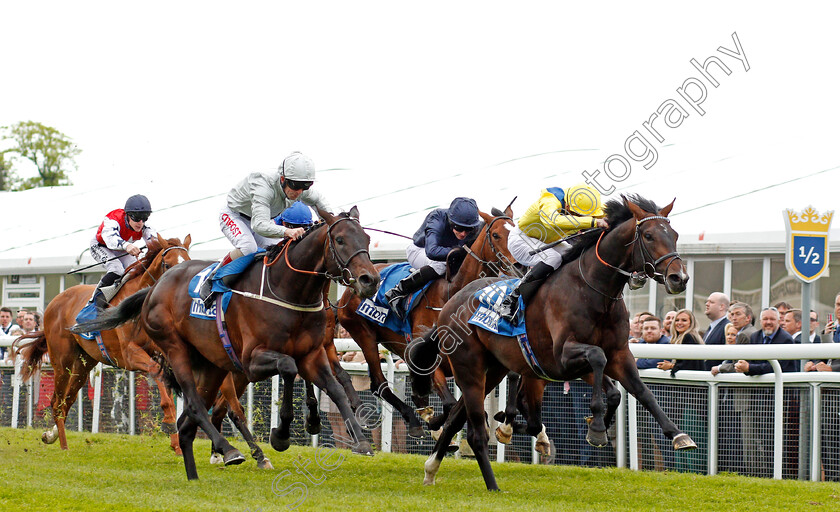 Young-Rascal-0005 
 YOUNG RASCAL (James Doyle) beats DEE EX BEE (left) in The Centennial Celebration MBNA Chester Vase Stakes Chester 9 May 2018 - Pic Steven Cargill / Racingfotos.com