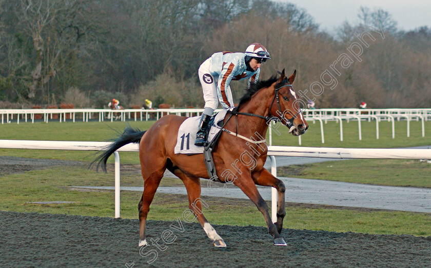 Donald-Llewellyn-0001 
 DONALD LLEWELLYN (Tom Queally)
Kempton 16 Feb 2021 - Pic Steven Cargill / Racingfotos.com