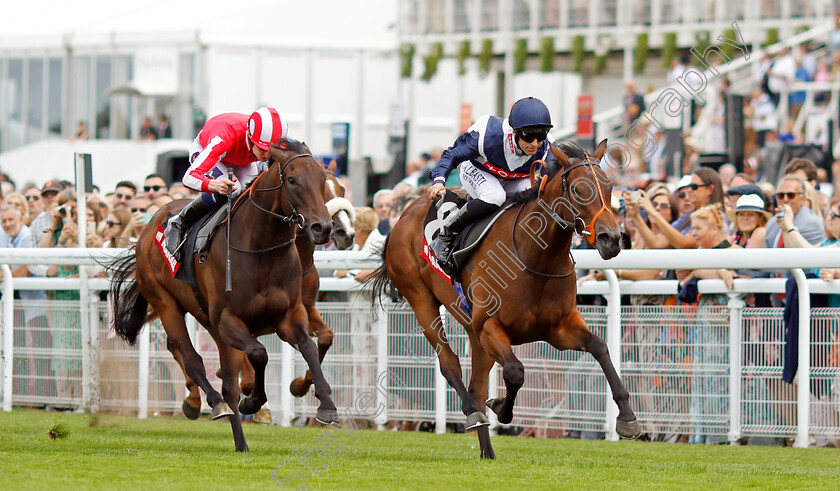 Trillium-0002 
 TRILLIUM (Pat Dobbs) wins The Markel Molecomb Stakes
Goodwood 27 Jul 2022 - Pic Steven Cargill / Racingfotos.com