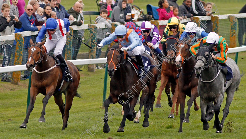 Gangland-0003 
 GANGLAND (right, David Nolan) beats ZABALETASWANSONG (centre) and HAVANA MARIPOSA (left) in The Dennis The Sailor Barrett Nursery Yarmouth 24 Oct 2017 - Pic Steven Cargill / Racingfotos.com