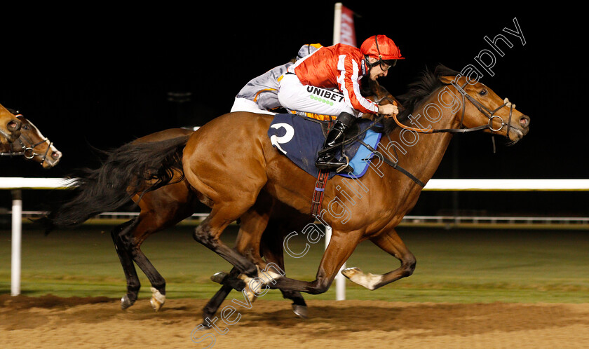 Toro-Dorado-0003 
 TORO DORADO (Luke Morris) wins The Betway Heed Your Hunch Handicap
Wolverhampton 20 Jan 2020 - Pic Steven Cargill / Racingfotos.com