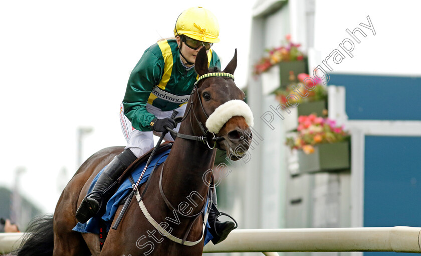 Shake-A-Leg-0004 
 SHAKE A LEG (Samantha Brown) wins The Macmillan Ride Of Their Lives Charity Race
York 11 Jun 2022 - Pic Steven Cargill / Racingfotos.com