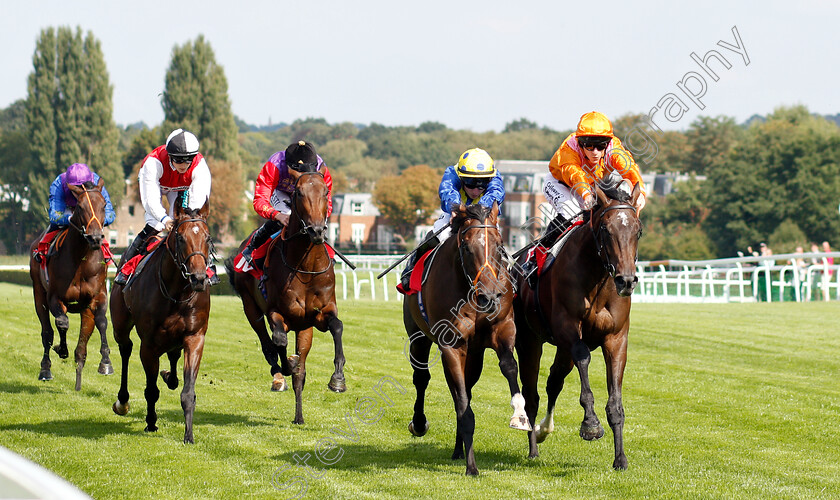 Rajinsky-0002 
 RAJINSKY (right, Richard Kingscote) beats WALKINTHESAND (centre) in The Bet & Watch At 188bet.co.uk EBF Maiden Stakes Div1
Sandown 31 Aug 2018 - Pic Steven Cargill / Racingfotos.com