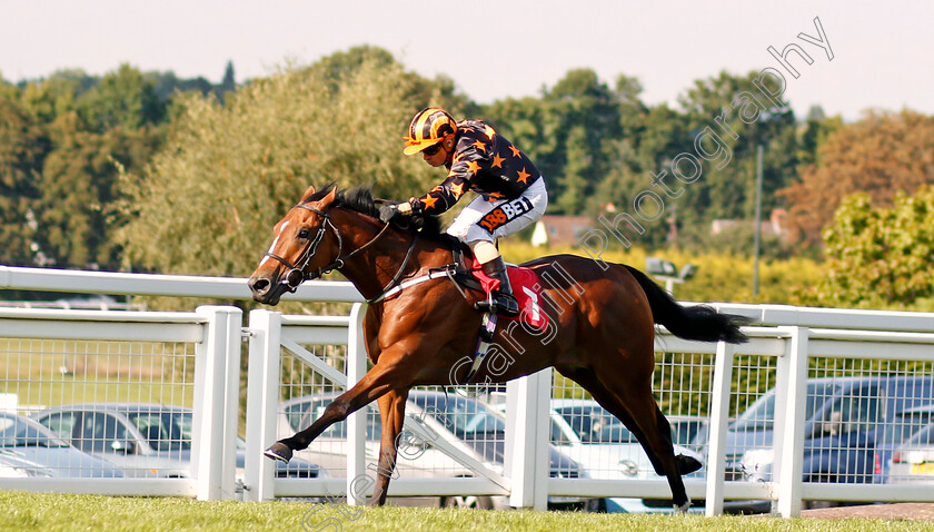 Crownthorpe-0001 
 CROWNTHORPE (Silvestre De Sousa) wins The BetBright Nursery Sandown 2 Sep 2017 - Pic Steven Cargill / Racingfotos.com