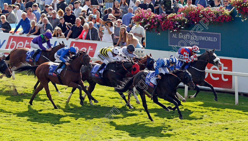 Elmonjed-0002 
 ELMONJED (Tom Marquand) wins The Sky Bet Constantine Handicap
York 24 Aug 2024 - Pic Steven Cargill / Racingfotos.com