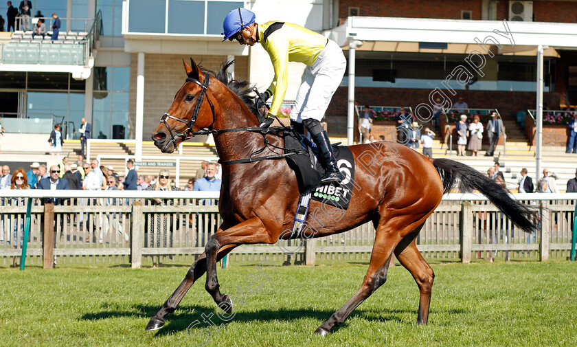 Maamora-0001 
 MAAMORA (James Doyle)
Newmarket 24 Sep 2021 - Pic Steven Cargill / Racingfotos.com