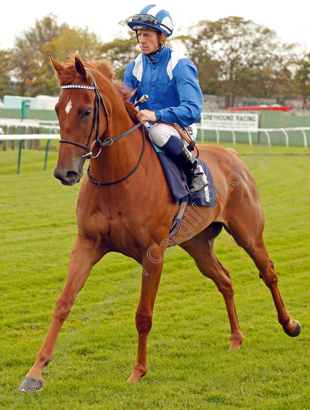 Anaakeed-0001 
 ANAAKEED (Jim Crowley) Yarmouth 24 Oct 2017 - Pic Steven Cargill / Racingfotos.com