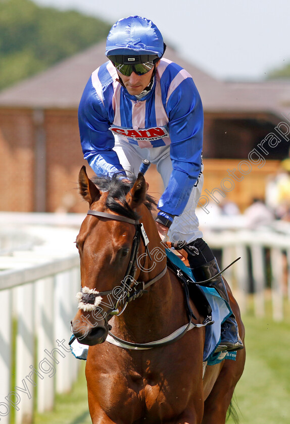 Lastingham-0001 
 LASTINGHAM (Daniel Tudhope)
York 16 Jun 2023 - Pic Steven Cargill / Racingfotos.com